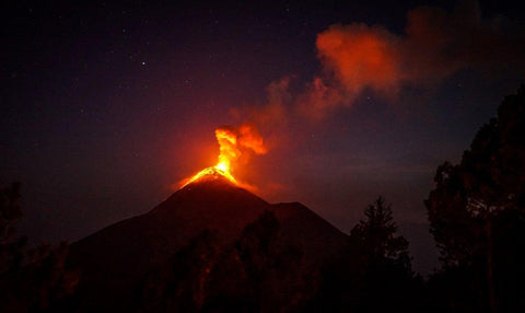 South East Asian Coffee