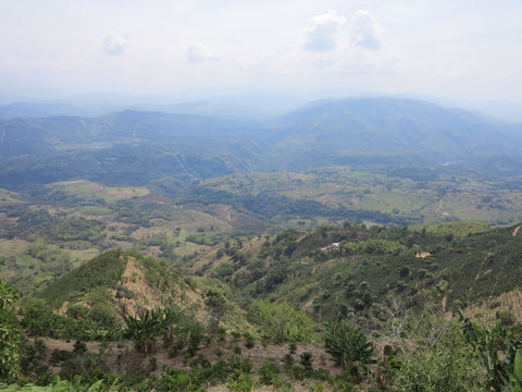 Olmes Garcia, Caldas, Colombia  