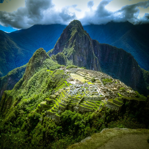 CECOVASA Wildlife Conservation Society Organic Coffee, Peru - John Farrer & Co (Kendal) Ltd
