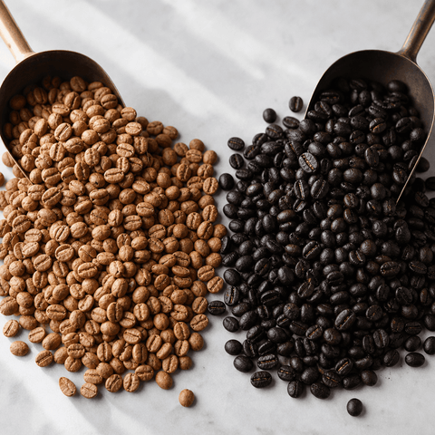 Dark Roast vs Light Roast Coffee UK: Plain-English Guide - John Farrer & Co (Kendal) Ltd