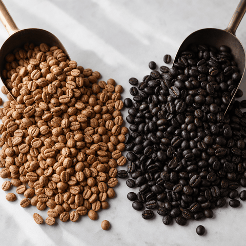 Dark Roast vs Light Roast Coffee UK: Plain-English Guide - John Farrer & Co (Kendal) Ltd