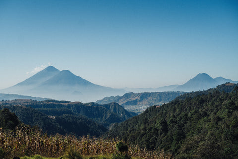 El Encanto - Antigua - Guatemala - John Farrer & Co (Kendal) Ltd