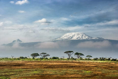 Ichuga Nyeri, Kenya - John Farrer & Co (Kendal) Ltd