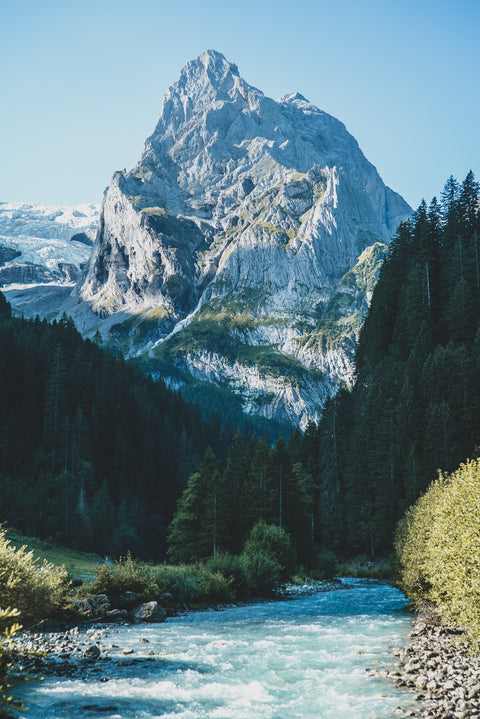 What is Swiss Water Decaf? - John Farrer & Co (Kendal) Ltd