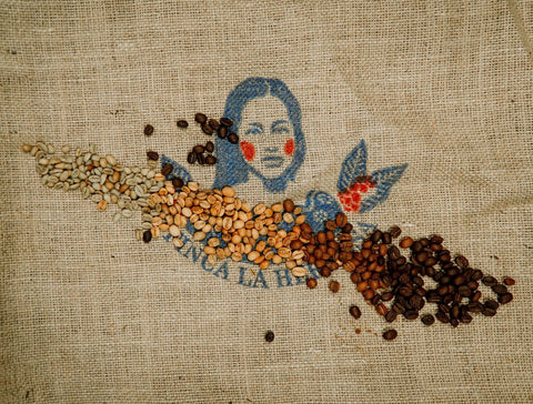 What’s the difference between light and dark coffee? - John Farrer & Co (Kendal) Ltd