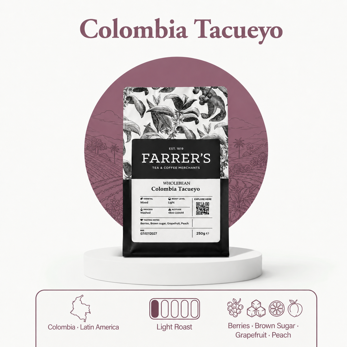 Colombian Tacueyo