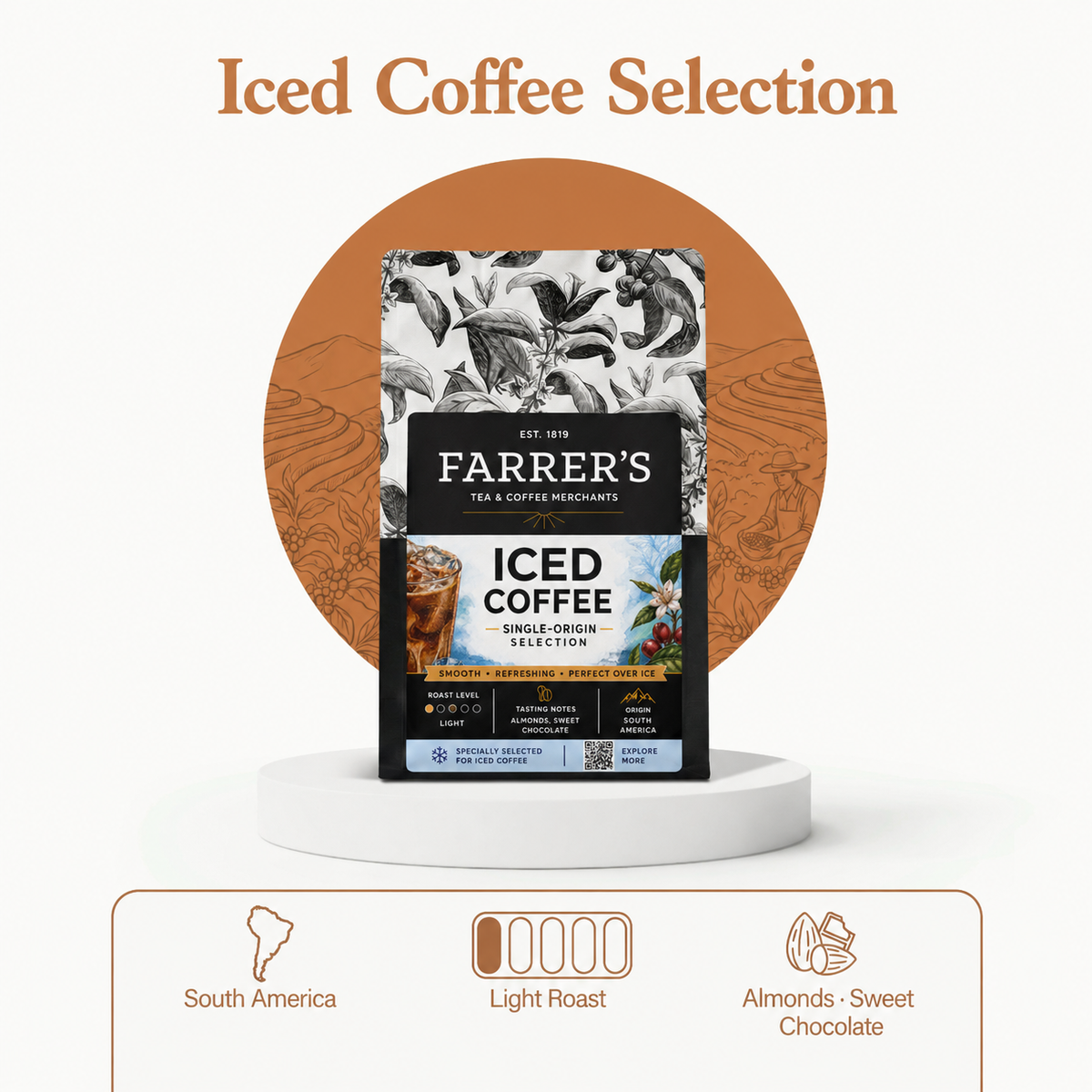Iced Coffee Selection - Single Origin