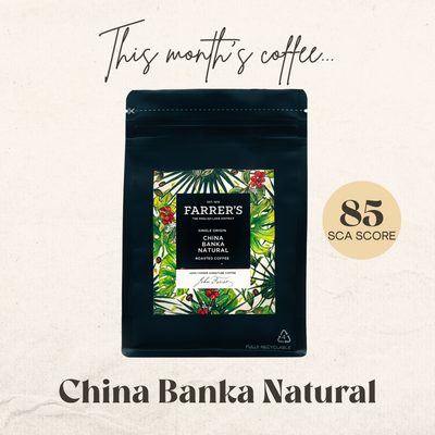 Farrer's Discovery Monthly Specialty Coffee Subscription