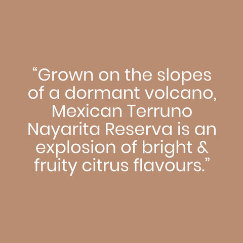 Mexican Terruno Nayarita Reserva