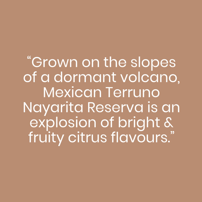 Mexican Terruno Nayarita Reserva