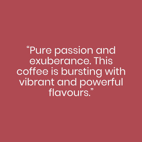 Brazil Coffee - John Farrer & Co (Kendal) Ltd