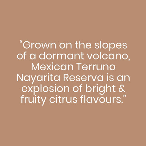 Mexican Terruno Nayarita Reserva - John Farrer & Co (Kendal) Ltd